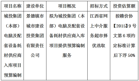 城投集團(本部)電腦及配套設備耗材供應商入庫項目預算編制計劃公告