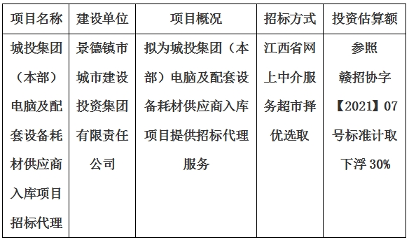 城投集團(本部)電腦及配套設備耗材供應商入庫項目招标代理計劃公告