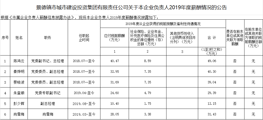 景德鎮由裏軟件開發有限責任公司關于本企業負責人2019年度薪酬情況的公告